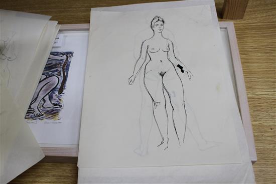 Peter Collins, twelve pen and ink on paper, Studies of female nudes, largest 35 x 25cm, unframed